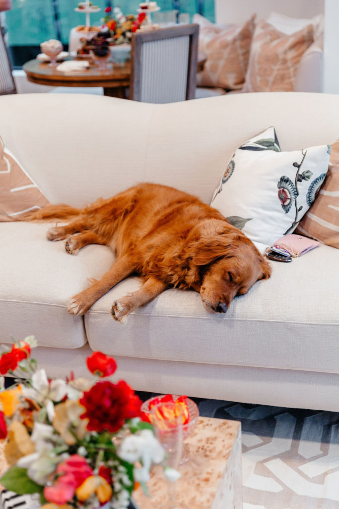 dani austin living room reveal