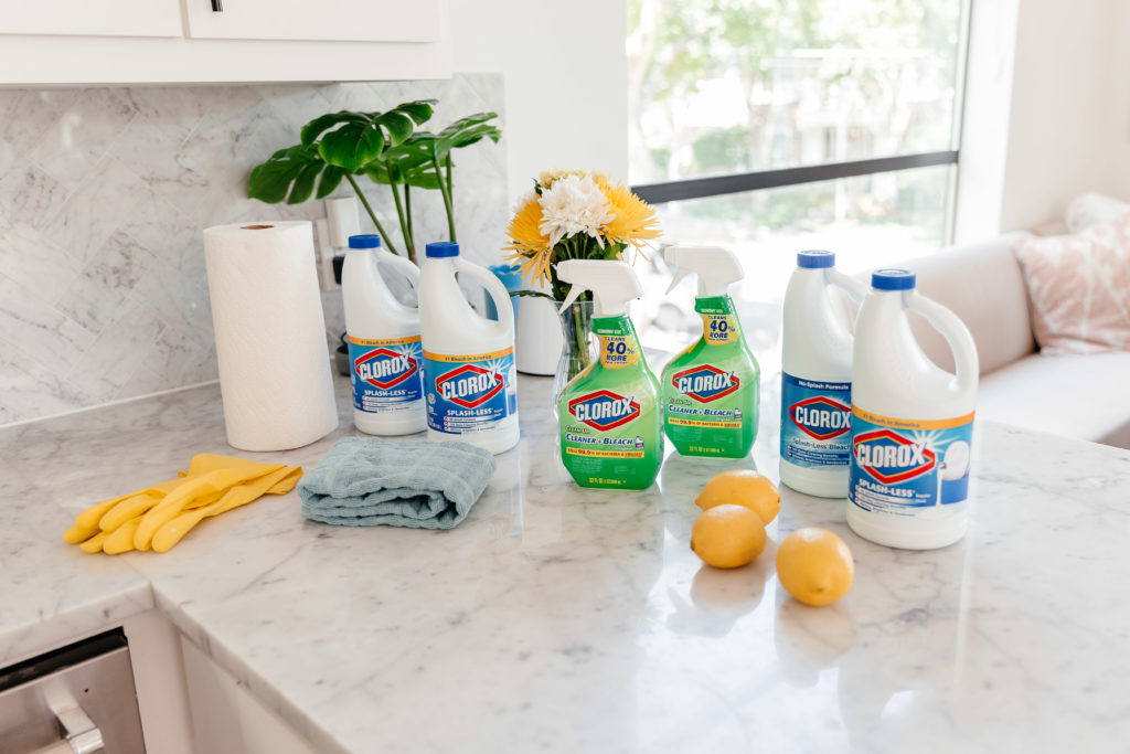 dani austin x clorox what every pet owner should know