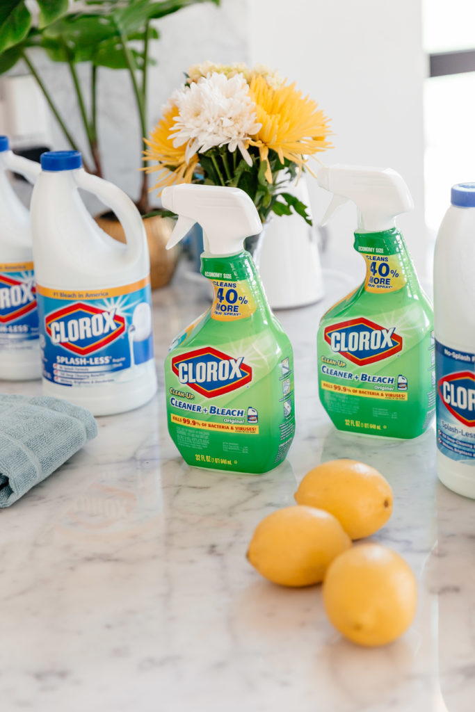 dani austin x clorox what every pet owner should know