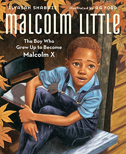 dani austin racial awareness children books Malcolm little