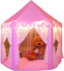 dani austin first birthday gift princess tent